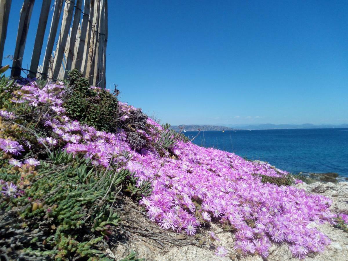 Apartament Les Calanques Les Issambres Zewnętrze zdjęcie